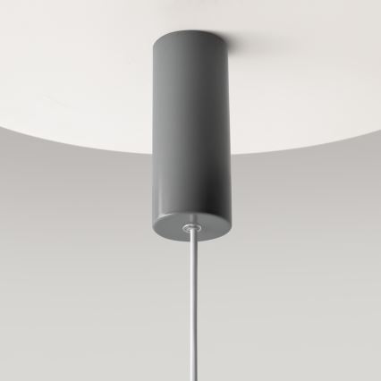 Maytoni MOD189PL-L12GR3K1 - LED lampa wisząca na lince GERHARD LED/19W/230V szara
