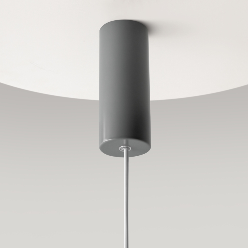 Maytoni MOD189PL-L12GR3K1 - LED lampa wisząca na lince GERHARD LED/19W/230V szara