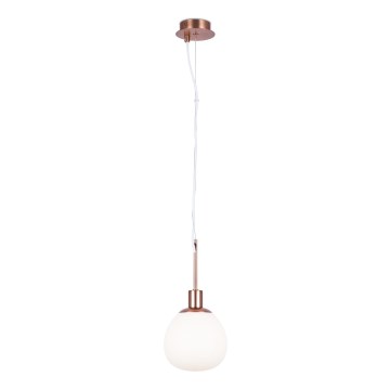 Maytoni MOD221-PL-01-G - Żyrandol na lince ERICH 1xE14/40W/230V miedziany