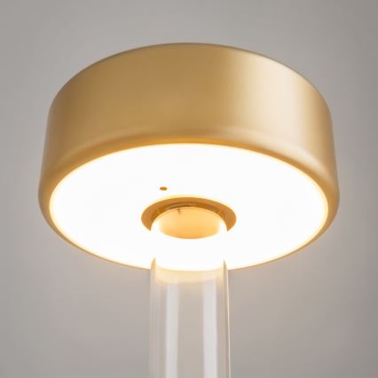 Maytoni MOD229TL-L3G3K1 - LED Ściemn. akumulatorowa przenośna Lampa stołowa LED/3W/5V 2200-4000K zl./przezroczysty