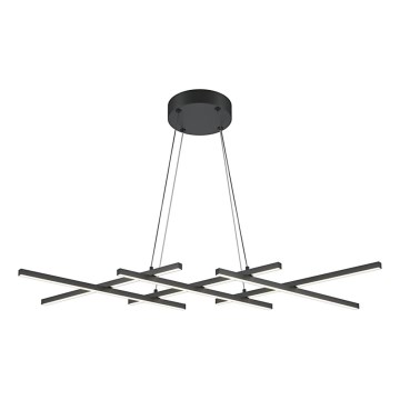 Maytoni MOD244PL-L50BK - LED żyrandol na lince HALO LED/40W/230V czarny