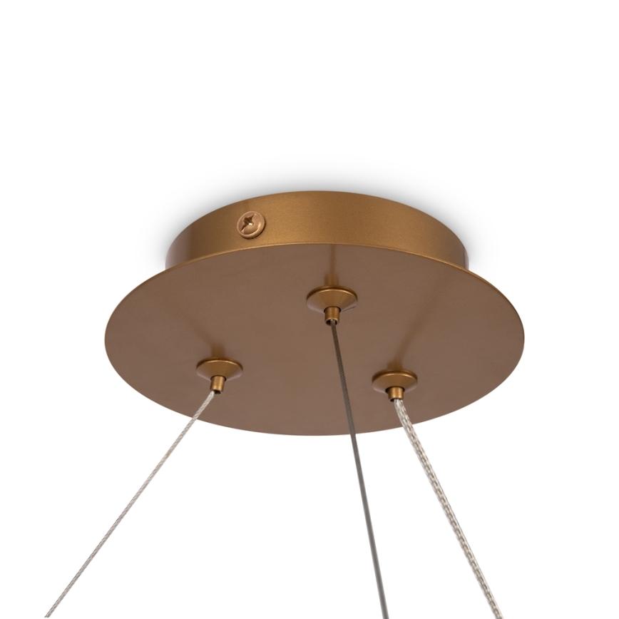Maytoni MOD317PL-06G - Żyrandol na lince BALANCE 6xG9/40W/230V miedź