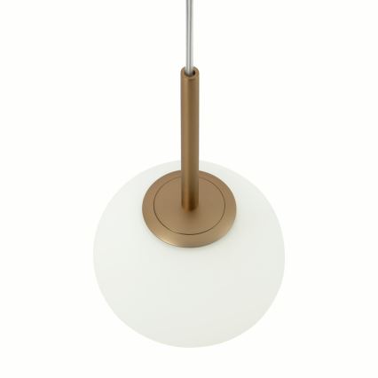 Maytoni MOD321PL-01G1 - Żyrandol na lince BASIC 1xE14/40W/230V złoty