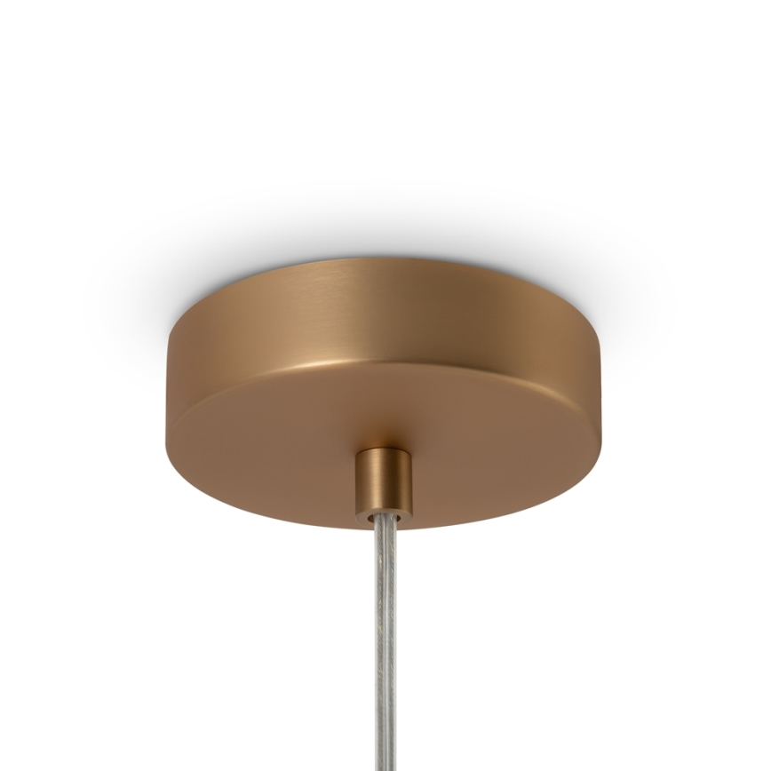 Maytoni MOD321PL-01G1 - Żyrandol na lince BASIC 1xE14/40W/230V złoty