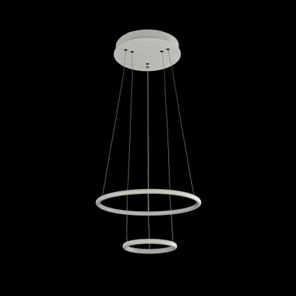Maytoni MOD807-PL-02-36-W - LED Żyrandol na lince NOLA LED/36W/230W