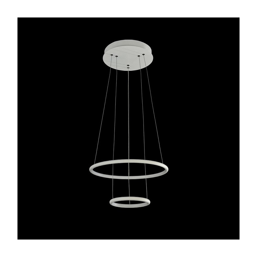 Maytoni MOD807-PL-02-36-W - LED Żyrandol na lince NOLA LED/36W/230W