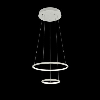 Maytoni MOD807-PL-02-36-W - LED Żyrandol na lince NOLA LED/36W/230W