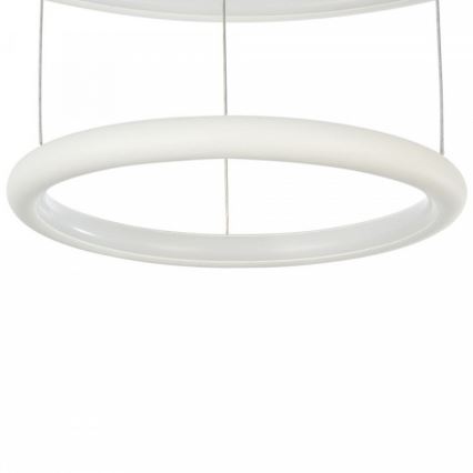 Maytoni MOD807-PL-02-36-W - LED Żyrandol na lince NOLA LED/36W/230W