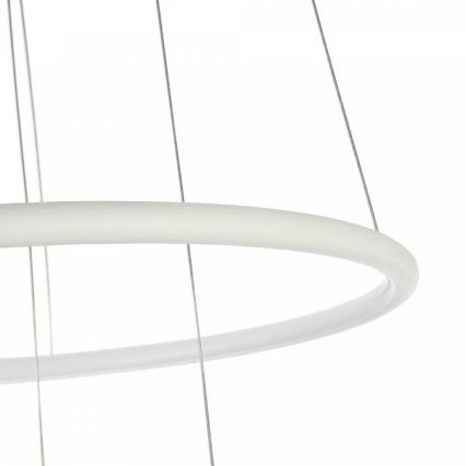 Maytoni MOD807-PL-02-36-W - LED Żyrandol na lince NOLA LED/36W/230W