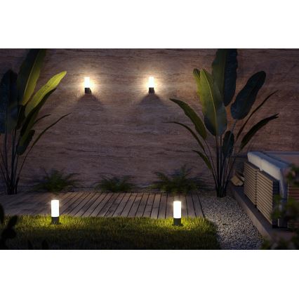 Maytoni O418WL-01B - Kinkiet zewnętrzny WILLIS 1xE27/60W/230V IP54 czarny