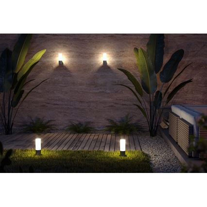 Maytoni O418WL-01GR - Kinkiet zewnętrzny WILLIS 1xE27/60W/230V IP54 antracyt