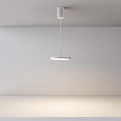 Maytoni P076PL-L12W3K-W - LED Żyrandol na lince PLATO LED/12W/230V 3000K biały