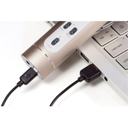 Mikrofon karaoke Bluetooth 6 W/5 V, 1500 mAh — złoty