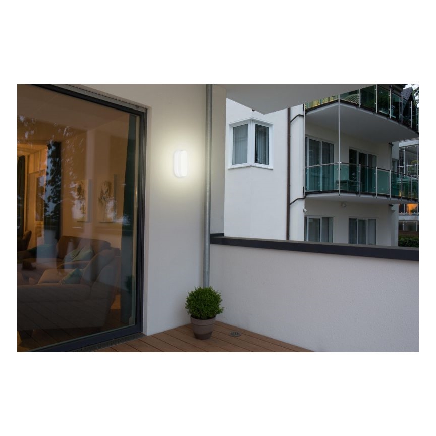 Müller-Licht - LED Oświetlenie zewnętrzne z czujnikiem IPSUM LED/8W/230V IP54