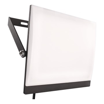 Naświetlacz LED TAMBO EVO LED/100W/230V 4000K IP65 czarny