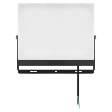 Naświetlacz LED TAMBO EVO LED/100W/230V 4000K IP65 czarny