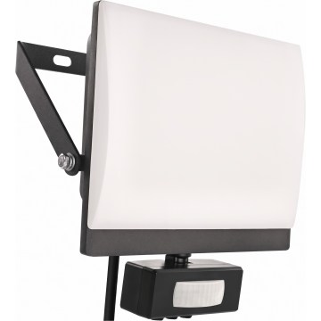 Naświetlacz LED z czujnikiem ruchu i zmierzchu TAMBO EVO LED/30W/230V 4000K IP44 czarny