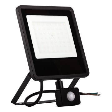 Naświetlacz zewnętrzny LED z czujnikiem LED/30W/230V 4000K IP65 czarny