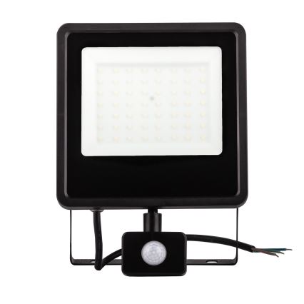Naświetlacz zewnętrzny LED z czujnikiem LED/30W/230V 4000K IP65 czarny