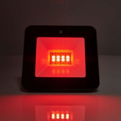 LED RGBW Ściemnialny reflektor do gniazdka SmartLife LED/20W/230V Wi-Fi IP65 2700-6500K