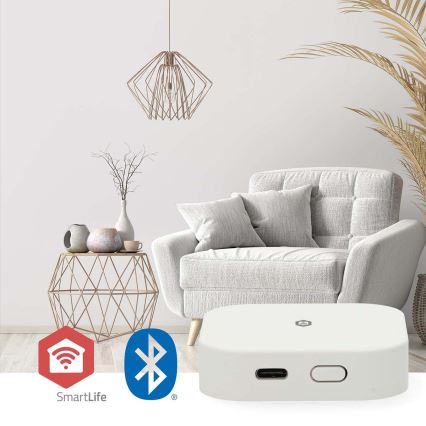 Inteligentna bramka SmartLife 5V Wi-Fi