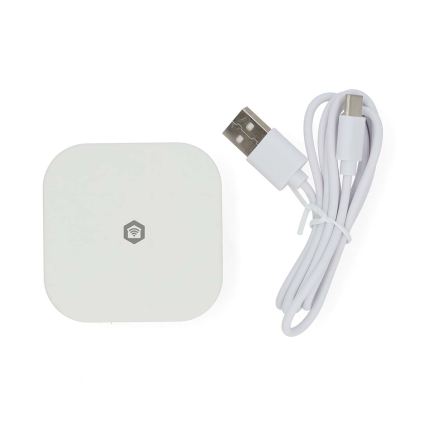 Inteligentna bramka SmartLife 5V Wi-Fi