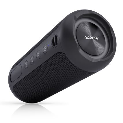 Niceboy Polaris - LED Głośnik bezprzewodowy z mikrofonem 30W/4000 mAh IPX7 czarny