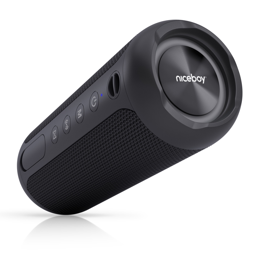 Niceboy Polaris - LED Głośnik bezprzewodowy z mikrofonem 30W/4000 mAh IPX7 czarny