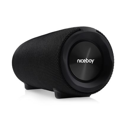 Niceboy Titan 4 - LED Głośnik bezprzewodowy z mikrofonem i funkcji powerbanky 50W/4000 mAh IPX7 czarny