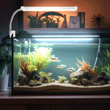 Nobleza - LED Oświetlenie akwarium LED/6W/230V IPX7 23 cm
