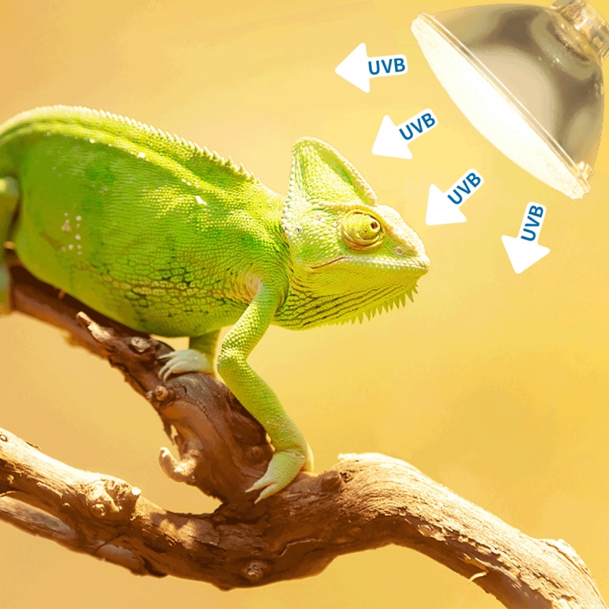 Nobleza - UVB Żarówka do terrariums E27/35W/230V IP54