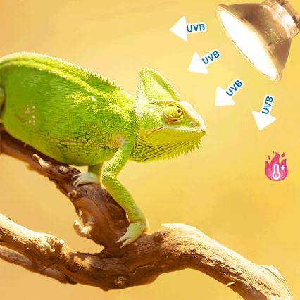 Nobleza - Żarówka UVB do terrariów E27/50W/230V