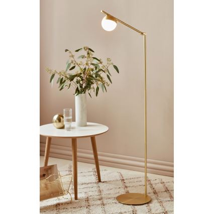 Nordlux - Lampa stojąca CONTINA 1xG9/5W/230V mosiądz