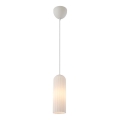 Nordlux - Lampa wisząca MIELLA 1xE27/25W/230V biała