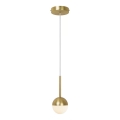 Nordlux - Lampa wisząca na linkę CONTINA 1xG9/5W/230V mosiądz