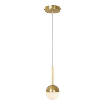 Nordlux - Lampa wisząca na linkę CONTINA 1xG9/5W/230V mosiądz