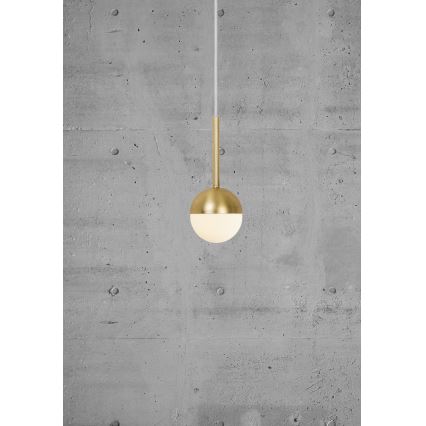 Nordlux - Lampa wisząca na linkę CONTINA 1xG9/5W/230V mosiądz