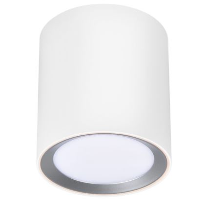 Nordlux - LED Łazienkowe oświetlenie punktowe LANDON LED/6,5W/230V IP44 białe