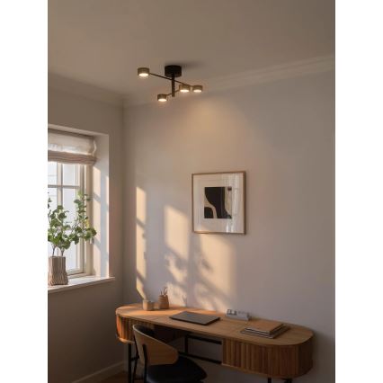 Nordlux - LED natynkowy żyrandol CLYDE 4xLED/4W/230V