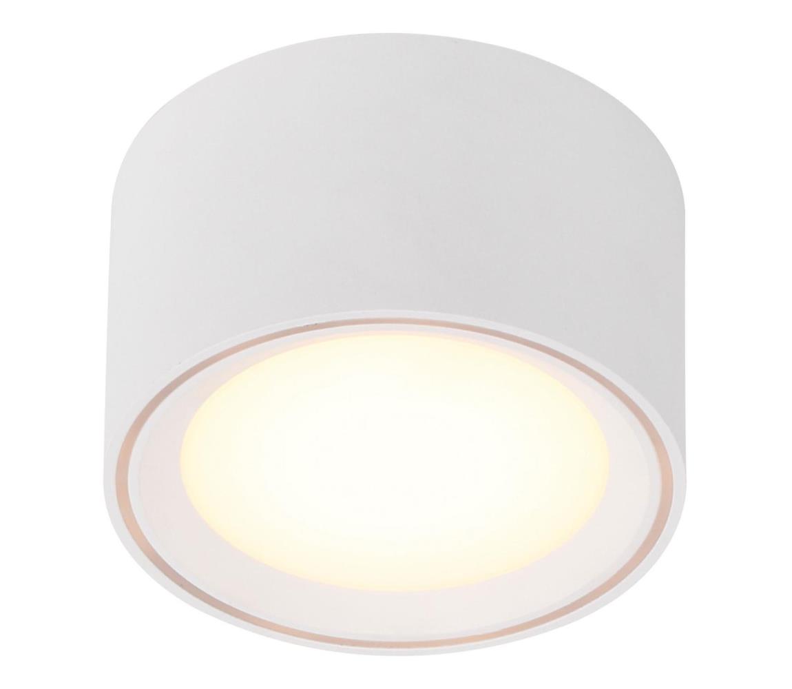 Nordlux - LED Oświetlenie punktowe FALLON LED/5,5W/230V białe