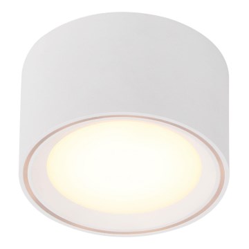 Nordlux - LED Oświetlenie punktowe FALLON LED/5,5W/230V białe