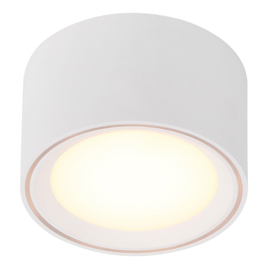Nordlux - LED Oświetlenie punktowe FALLON LED/5,5W/230V białe