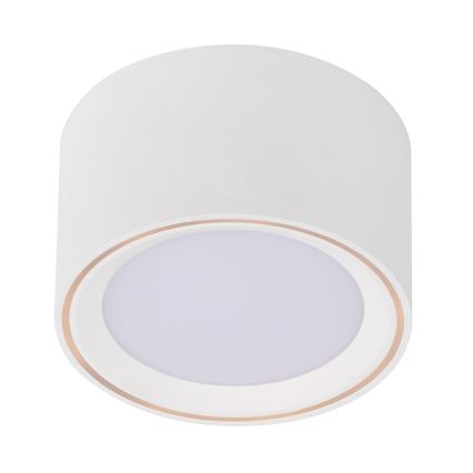 Nordlux - LED Oświetlenie punktowe FALLON LED/5,5W/230V białe