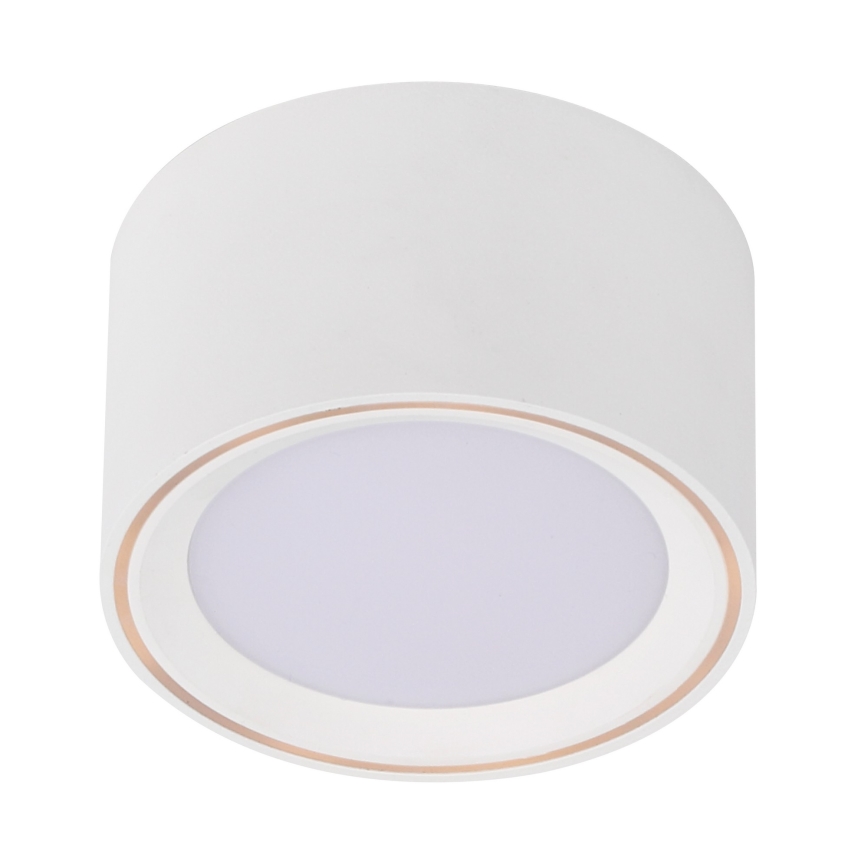 Nordlux - LED Oświetlenie punktowe FALLON LED/5,5W/230V białe