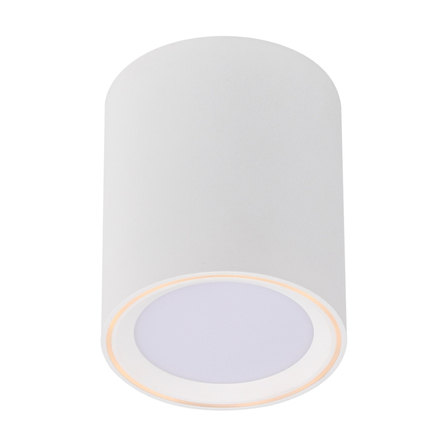 Nordlux - LED Oświetlenie punktowe FALLON LONG LED/5,5W/230V białe