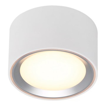 Nordlux - LED Plafon ściemnialny FALLON LED/5,5W/230V 2700K biały