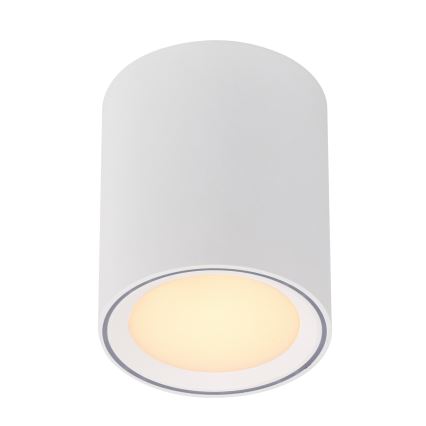 Nordlux - LED ściemnialna oprawa punktowa FALLON LONG LED/5,5W/230V biała