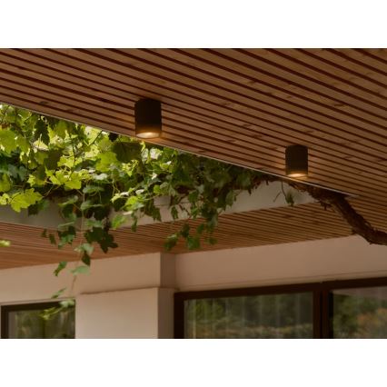 Nordlux - Plafon zewnętrzny KYKLOP 1xGU10/15W/230V IP54 czarny