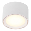 Nordlux - ściemnialna oprawa punktowa LED FALLON 5,5W/230V, biała