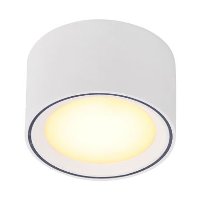 Nordlux - ściemnialna oprawa punktowa LED FALLON 5,5W/230V, biała